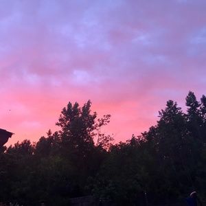 Meet your Posher, Abigail